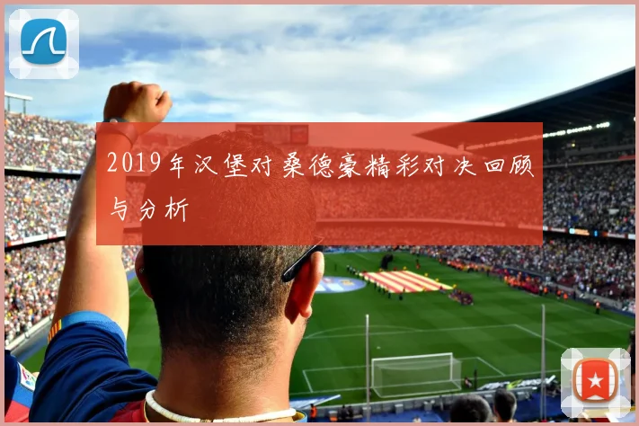 2019年汉堡对桑德豪精彩对决回顾与分析