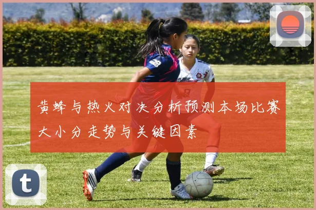 黄蜂与热火对决分析预测本场比赛大小分走势与关键因素