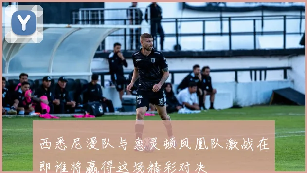 西悉尼漫队与惠灵顿凤凰队激战在即谁将赢得这场精彩对决